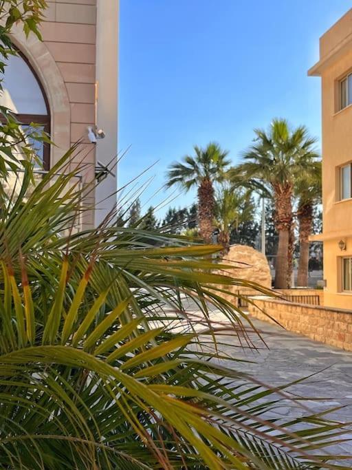 Teo Apartment Pafos Dış mekan fotoğraf