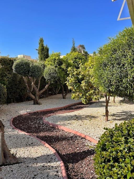 Teo Apartment Pafos Dış mekan fotoğraf