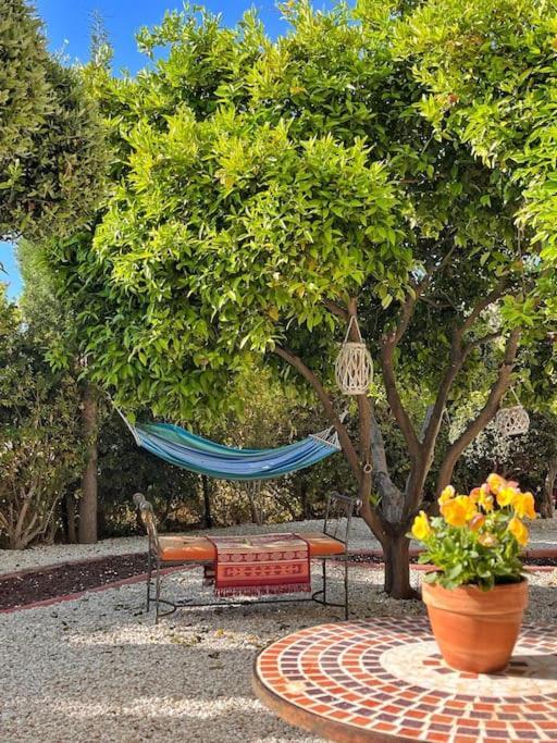 Teo Apartment Pafos Dış mekan fotoğraf